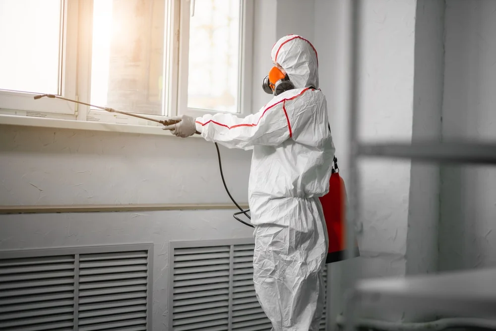 Professional mold remediation services in Putnam, CT